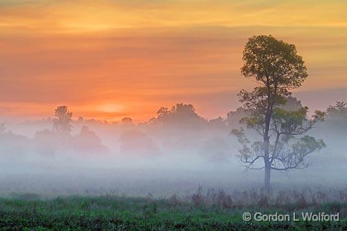 Misty Dawn_10597-600.jpg - Photographed near Rosedale, Ontario, Canada.